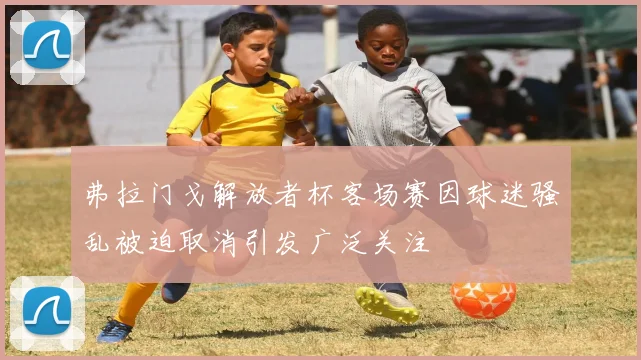 弗拉门戈解放者杯客场赛因球迷骚乱被迫取消引发广泛关注