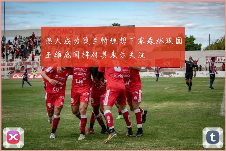 热火成为莫兰特理想下家森林狼国王雄鹿同样对其表示关注